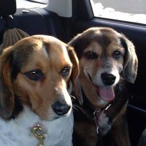 Meet your Posher, Kathy